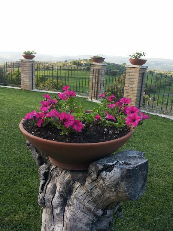 B&B La Piaggia Montemerano Kamer foto
