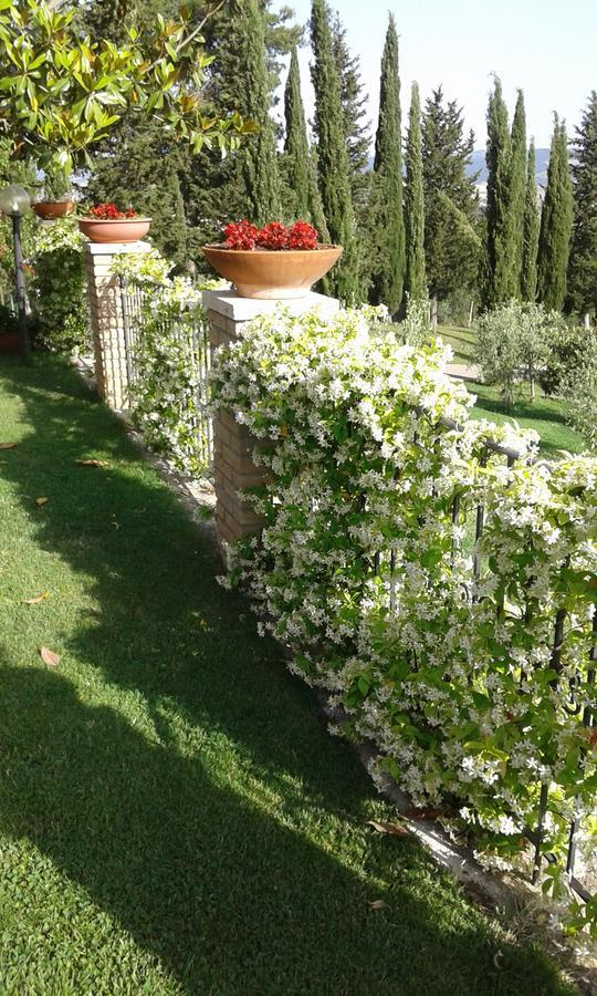 B&B La Piaggia Montemerano Buitenkant foto